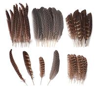 TOTSUN 40 Pcs Natural Pheasant Feathers 10-25 Cm Brown Speckled Feathers DIY Pheasant Tails Feather Pheasant Feather for Crafts Hats Wreath Party Deco Cosply Props (4 Sizes)