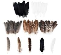 TOTSUN 50 DIY Decoration Feathers, 10-25cm Craft Feathers 5 Style Mixed Natural Feathers for DIY Craft Carnival WedDecor Mask Wedding Party Decorations Flower Arrangements