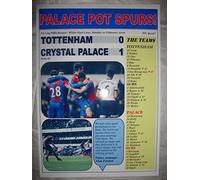 Tottenham Hotspur 0 Crystal Palace 1 - 2016 FA Cup - souvenir print