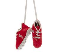 Tottenham Hotspur Liverpool FC Mini Football Boots