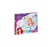 Totum Disney Princess Decorating Canvas