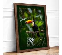 Toucan Among Foliage Tropical Framed Wall Art Print A4 Walnut