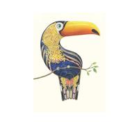 Toucan Card Daniel Mackie Designs 7 x 5 inches wrapped in cello with envelope