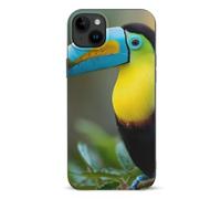 Toucan Colorful Printed Phone Cases Cover Compatible with iPhone 15