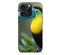 Toucan Colorful Printed Phone Cases Cover Compatible with iPhone 15