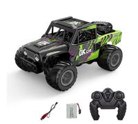 TOUCAN RC HOBBY 1:18 RC Off-Road Car Q191 Waterproof Remote Controlled Amphibious Vehicle 360 Degree Rotation Stunt Car Electric 4-Wheel Drive Ready to Use Battery Operated Outdoor