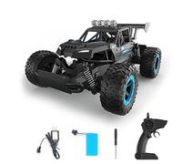 TOUCAN RC HOBBY Plastic 1/16 Remote Controlled Racing Car Q102 4WD RC On Road Vehicle Model Toy Gifts for Adults Multiplayer No Sound System For Special Gifts