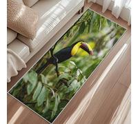 Toucan Rug 40x60 cm Door Mat, Tropical Jungle Bird Area Rug Entrance, Short Pile Non-Slip Washable Carpet For Bedroom Kitchen Hallway