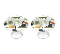 Toucans Crocodiles Tropical Plants Kitchen Cupboard Handles Cute Cabinet Drawer Knobs 2 Pack