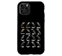Toucans & Hornbills - Tropical Bird Species Chart Case for iPhone 11 Pro
