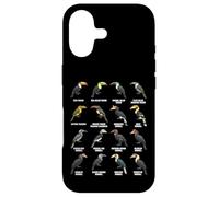 Toucans & Hornbills - Tropical Bird Species Chart Case for iPhone 17