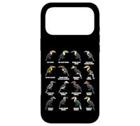 Toucans & Hornbills - Tropical Bird Species Chart Case for iPhone 17 Pro Max