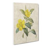 Touch Me Not Flowers In Yellow By Pierre Joseph Redoute Canvas Print | Gallery Wrapped 30mm Frame Wall Art | 24x16 inches | Ready to Hang | Retro Floral Picture | Living Room Bedroom Lounge Office