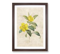 Touch-Me-Not Flowers in Yellow by Pierre-Joseph Redoute Framed Print | A2 Walnut Framed Wall Art | Ready to Hang | Modern Floral Picture | Living Room Bedroom Lounge Office