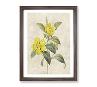 Touch Me Not Flowers In Yellow By Pierre Joseph Redoute Vintage Framed Print | A3 Walnut Framed Wall Art | Ready to Hang | Classic Floral Picture | Living Room Bedroom Lounge Office