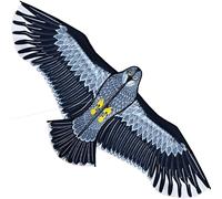 Touch the Sky 1.8m Eagle Kite for Kids & Adults, Easy to Fly Beginner Kite