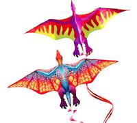 Touch the sky 2 Pack Dragon Kites for Kids and Adults, Easy to Fly, Exquisite Fabrics and Unique Structure Design, Excellent Outdoor Games and Activity Toys, Suitable for Beginners.