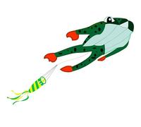 Touch the sky 3D Soft Frog Kite for Kids and Adults, Easy to Fly, Exquisite Fabrics and Unique Structure Design, Excellent Outdoor Games and Activity Toys, Suitable for Beginners.