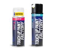 Touch Up Paint Factory - Aerosol Scratch Repair Kit Mixed by Reg Registration Plate Car Touch Up Paint for All Models - Exact Match Guarantee - Lite (Small)