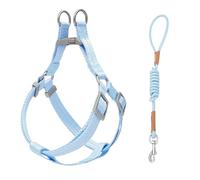 Touchdog Classic Y-Shape Dog Harness and Leash Set, Durable Adjustable No-Pull Step in Dog Harness for Small Medium Dogs, Soft Nylon Walking Harness for Daily Use and Outdoor Training (Blue, XS)