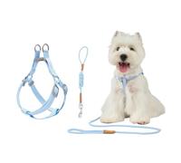 Touchdog Classic Y-Shape Dog Harness and Leash Set, Durable Adjustable No-Pull Step in Dog Harness for Small Medium Dogs, Soft Nylon Walking Harness for Daily Use and Outdoor Training (Blue, M)