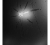 Touché Amoré : Spiral in a Straight Line CD (2024) NEW Fast and FREE P & P