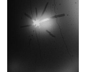 Touché Amoré : Spiral in a Straight Line CD (2024) NEW Fast and FREE P & P