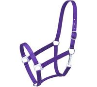 Tough 1 Economy Halter, Purple, Horse