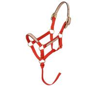 Tough 1 Miniature Nylon Break-Away Halter, Red, Regular