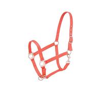 Tough 1 Nylon Halter with Satin Hardware, Orange, Horse