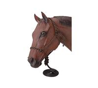 Tough 1 Poly Rope Tied Halter with Lead, Black, Horse