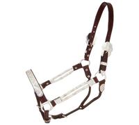 Tough 1 Royal King Silver Ferrules Show Halter, Horse, Dark oil
