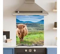 Toughened 6mm Glass Kitchen Splashback 60 x 65cm Green HighHighland Cow Polished Heat Resistant Back Splash for Cookers Hob