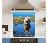 Toughened 6mm Glass Kitchen Splashback 60 x 65cm Water HighHighland Cow Polished Heat Resistant Back Splash for Cookers Hob