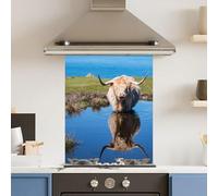 Toughened 6mm Glass Kitchen Splashback 60 x 75cm Water HighHighland Cow Polished Heat Resistant Back Splash for Cookers Hob