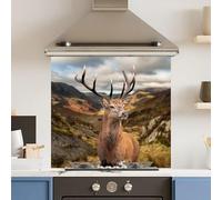 Toughened 6mm Glass Kitchen Splashback 70 x 65cm Stunning Stag - Polished Edge Heat Resistant Back Splash for Cookers Hob