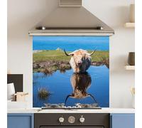 Toughened 6mm Glass Kitchen Splashback 70 x 65cm Water HighHighland Cow Polished Heat Resistant Back Splash for Cookers Hob
