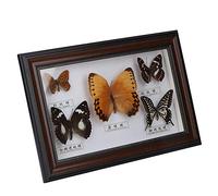 TOUISEDGI Real Framed Butterfly, Butterfly Specimen Display with Frame Taxidermy Home Ornament Decor, Exquisite Craft Birthday Gift Home Decor Ornament(Black frame)