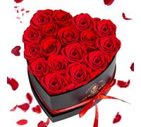 Touloube 17 Preserved Real Roses for Mum Nana Wife, Forever Flowers for Delivery in Heart Shape Box, Eternal Red Rose Gifts for Her, Birthday Presents Home Decor for Women Grandma Girlfriend
