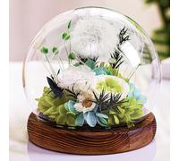 Touloube Christmas Women Gifts - Dandelion in A Glass Gift Ideas for Women, Birthday Gift for Girlfriend Sister Teacher Mom Grandma, Wish Filler Gift Encouragement for Her for Birthday, Wedding