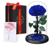 Touloube Eternal Forever Rose in Glass Dome | Fresh Rose Gift | Flower Preserved for 5 Years | Handcrafted | Beauty and the Beast Romantic Gifts for Her | Anniversary, Christmas valentine’s day, Blue