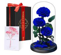 Touloube Preserved Forever Rose in Glass Dome - Beauty and the Beast Romantic Gifts for Her - Eternal Rose Preserved Flowers - Preserved Rose Mother Gifts - Mum Birthday Gifts for women