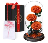 Touloube Preserved Forever Rose in Glass Dome - Beauty and the Beast Romantic Gifts for Her - Eternal Rose Preserved Flowers - Preserved Rose Mother Gifts - Mum Birthday Gifts for women
