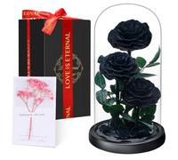 Touloube Preserved Rose Preserved Forever Rose in Glass Dome - Beauty and the Beast Romantic Gifts for Her Wife Girlfriend - Eternal Rose Flowers - Mum Birthday Gifts for Women
