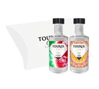 Tourer Gin - Gin Gift Set 2 x 5cl | Watermelon & Mint + Mango & Hibiscus | Flavoured Gin | Gin Tasting Experience | Gin Gift | 43% ABV