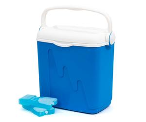 Tourist Refrigerator 20L Portable Fridge Camping 2 Ice Pack 2 x 400g Handle Lid