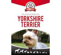 Tout ce qu'il faut savoir sur le Yorkshire terrier