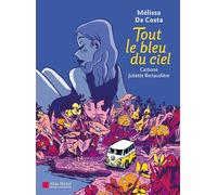 Tout le bleu du ciel (BD)