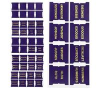 TOVINANNA 80pcs Pu Leather Bible Index Tabs Decorative Bible Stickers for Study and Organising