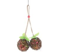 TOVINANNA Parrot Chewing Hanging Double Ball Foraging Made of Plastic with Assorted Colours, Bird for Playing and Shredding to Boredom